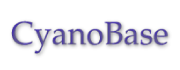 CyanoBase